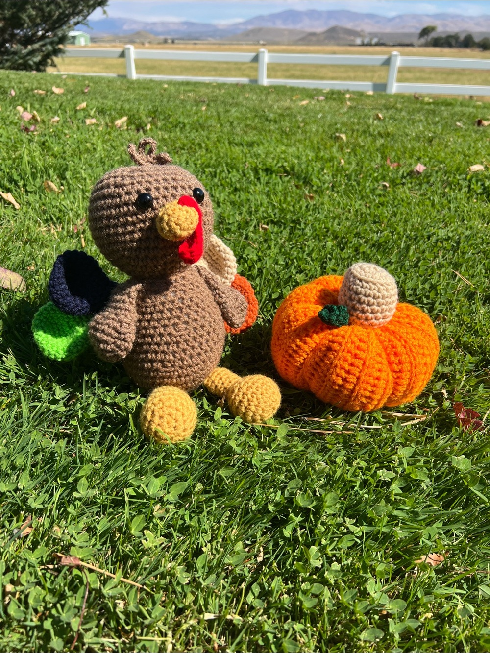 Hand Crocheted Thanksgiving Turkey & Pumpkin Plushie Decor Bundle